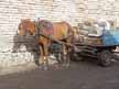 Grocery Delivery.JPG (5591 bytes)