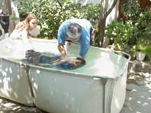 Renada Baptism.JPG (13774 bytes)