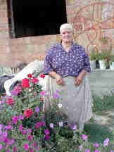 Recovery flowers3.jpg (15919 bytes)
