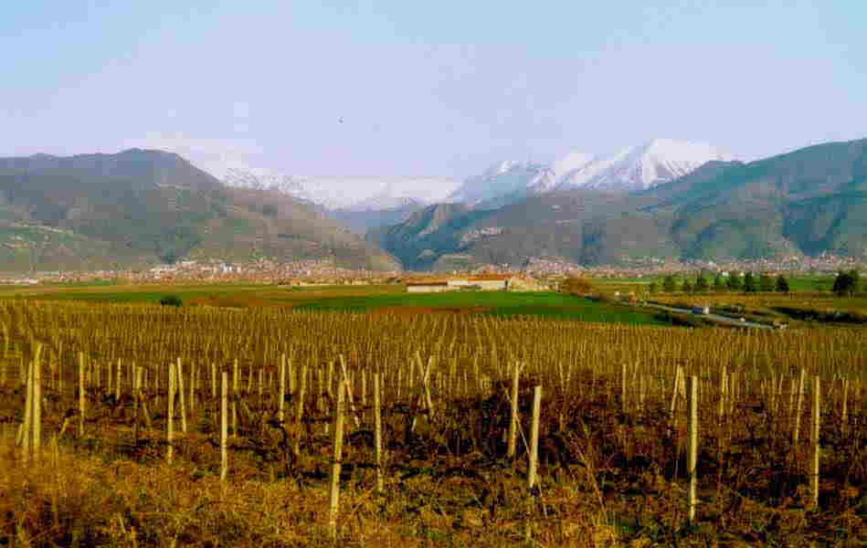 Prizren 1.jpg (43747 bytes)